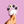 Violet Paw-ssessed Paw-sse