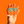 Teal Specs Appeal