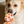 Wufers Fall Dog Cookie Box