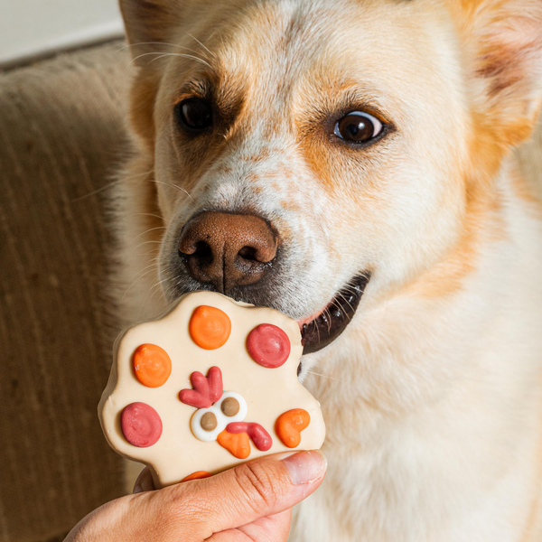 Wufers Fall Dog Cookie Box
