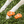 Orange Squash