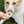 Harvest Moon Donuts (2pk)