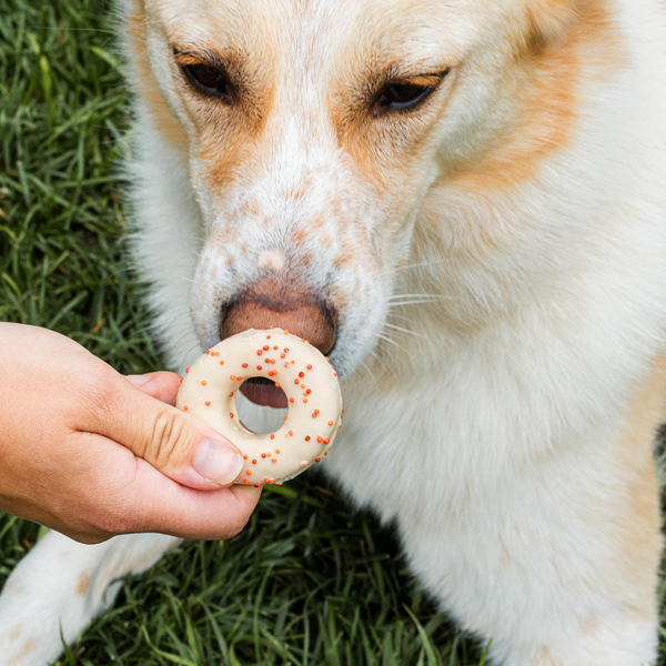 Harvest Moon Donuts (2pk)