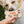 Wufers Fall Dog Cookie Box