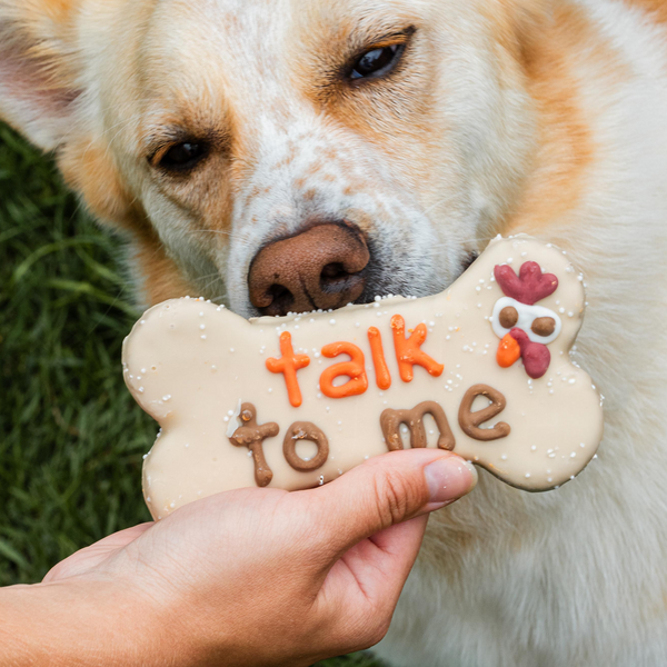Wufers Fall Dog Cookie Box