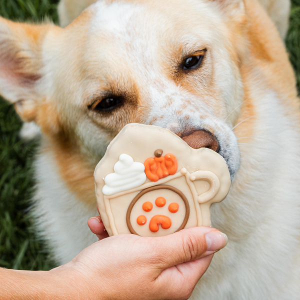 Wufers Fall Dog Cookie Box