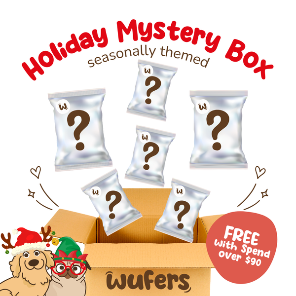 Holiday Mystery Box