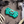 Teal No-Fly Zone Spider