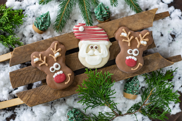 Wufers Christmas Dog Cookie Box