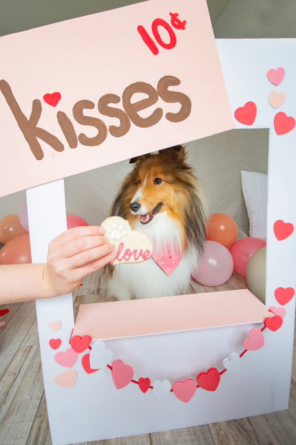 Wufers Valentine's Day Dog Cookie Box