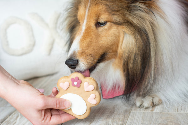 Wufers Valentine's Day Dog Cookie Box