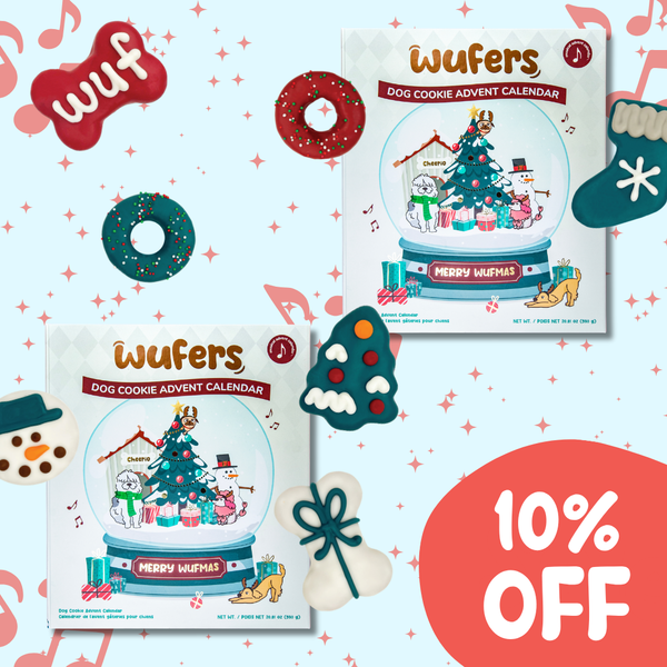 Snow Globe Singing Advent Calendar for Dogs | Bundle of 2