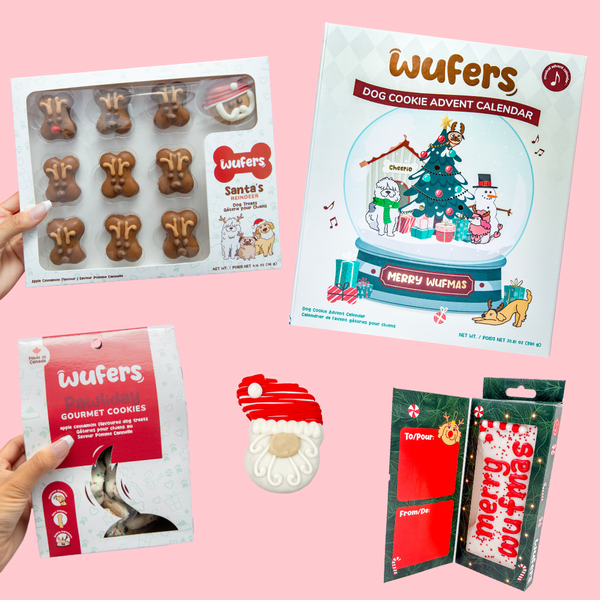 Christmas Morning Bundle