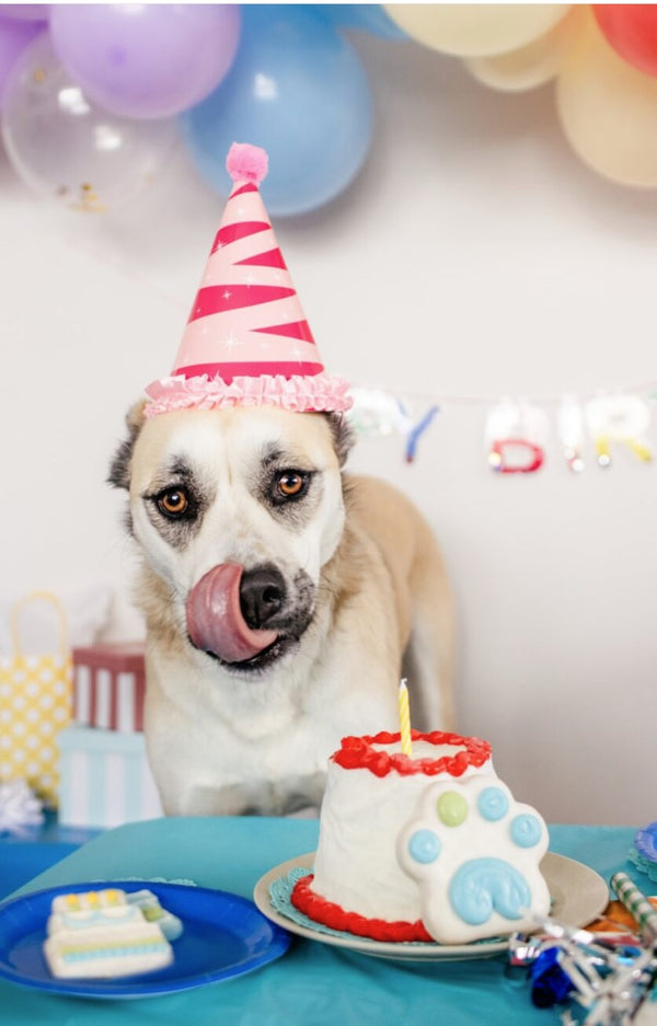 Blue Birthday Cake