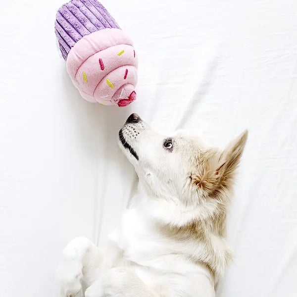 Pink Birthday Cupcake - Dog Toy