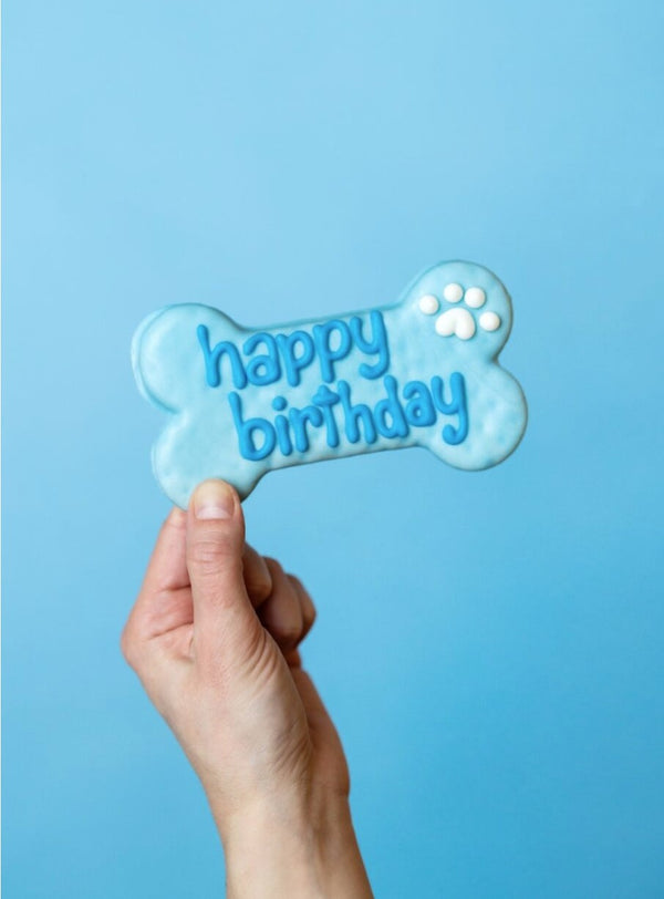 Blue Birthday 6" Dog Bone