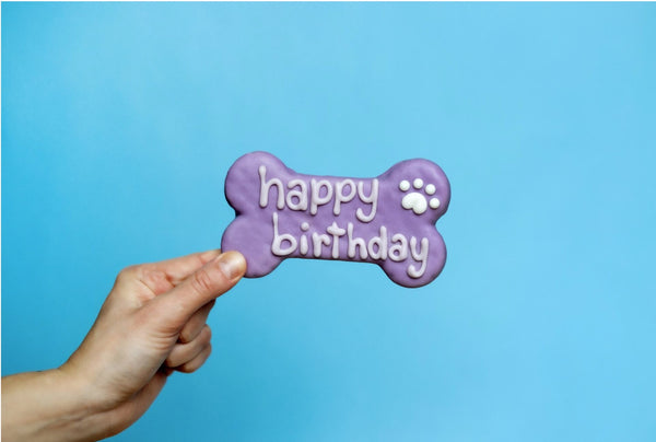 Purple Birthday 6" Dog Bone
